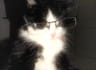 Profile picture of @Blu3b3rry.xx